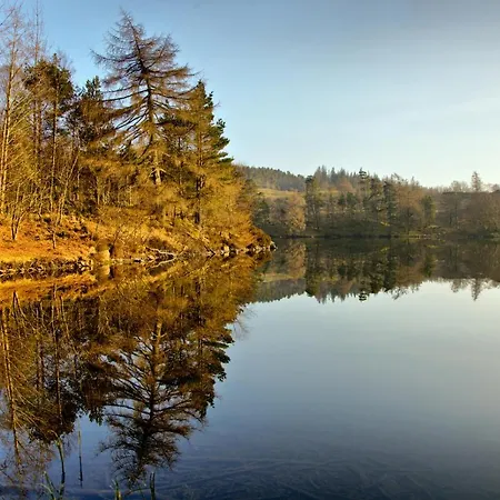 Room In Bb - Breakfast Included Ten Minutes From Lac De La Raviege Гостевой дом